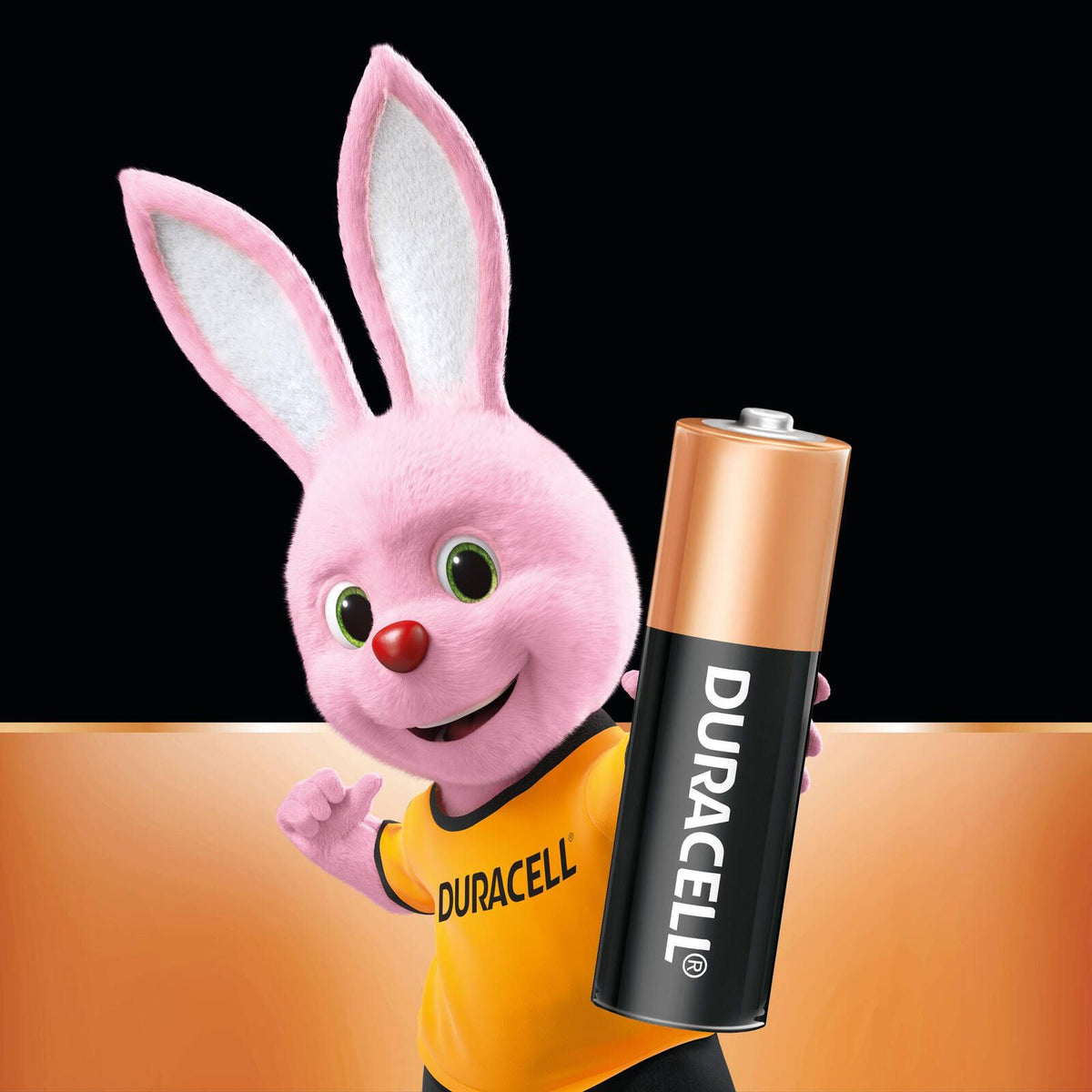 Duracell Coppertop AA Batteries - 10 Pack