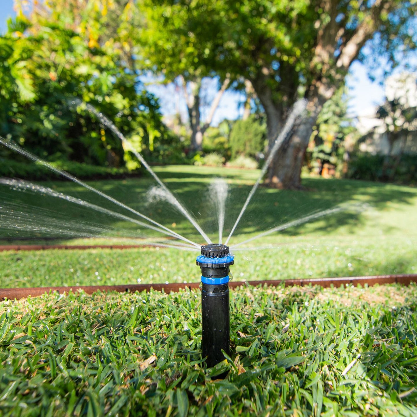 K Rain Popup Sprinkler - 80mm