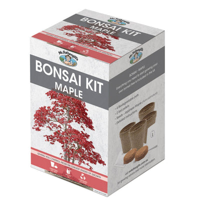 Mr Fothergill Maple Bonsai Kit
