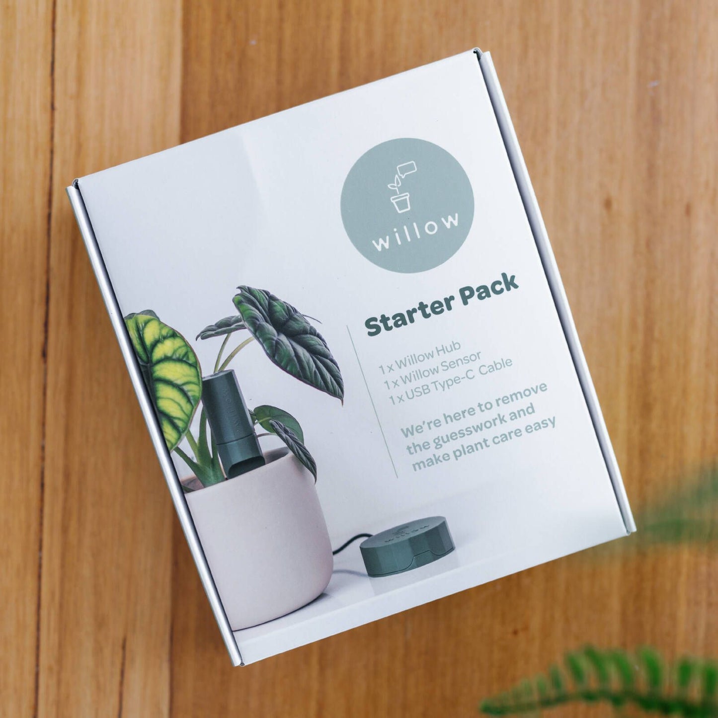 Willow Smart Indoor Plant Sensor Starter Pack - Moss