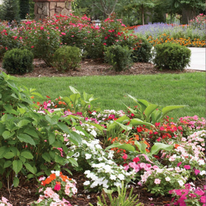 Rain Bird Shrub Nozzle - 12'-15' - Half Circle