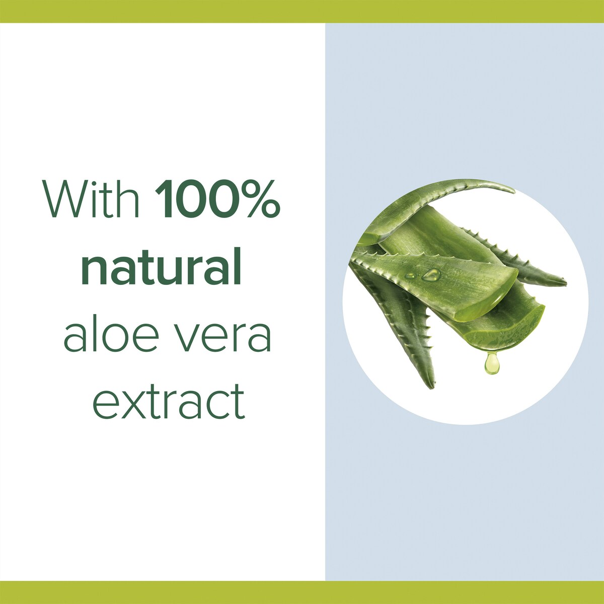 Palmolive Shampoo Naturals Active Nourishment 350mL