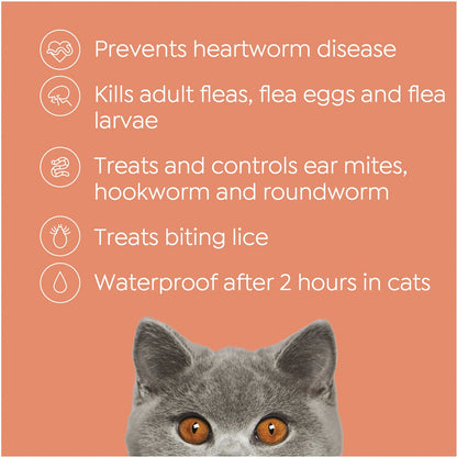 Total Care Heartwormer Allwormer & Flea Control For Cats Each