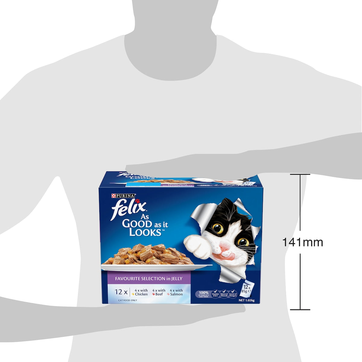 Felix As Good As It Looks Favourite Selection Wet Cat Food 85g X 12 Pack