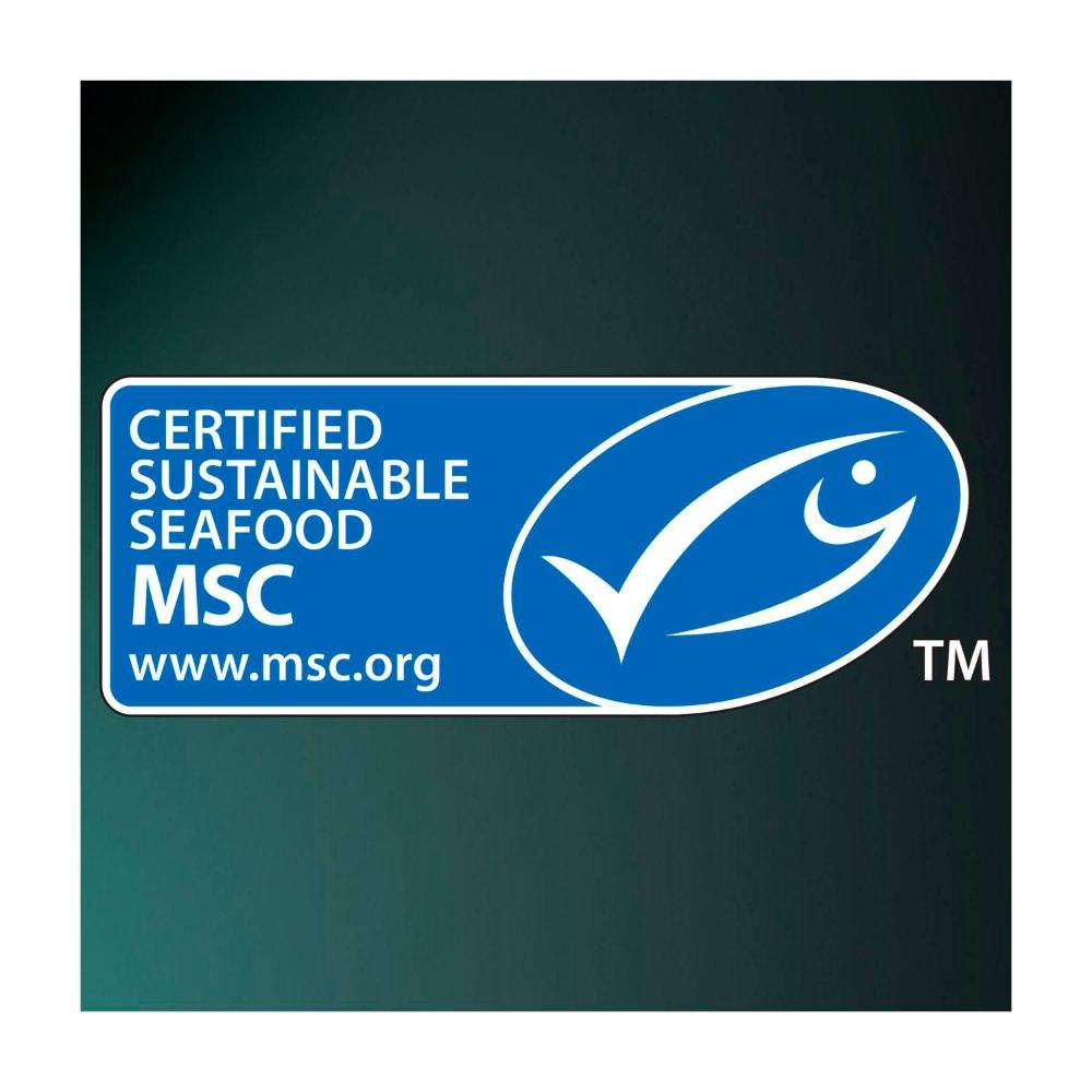 Dine Fillets Cat Food With Sustainable Tuna In Gravy - 60g