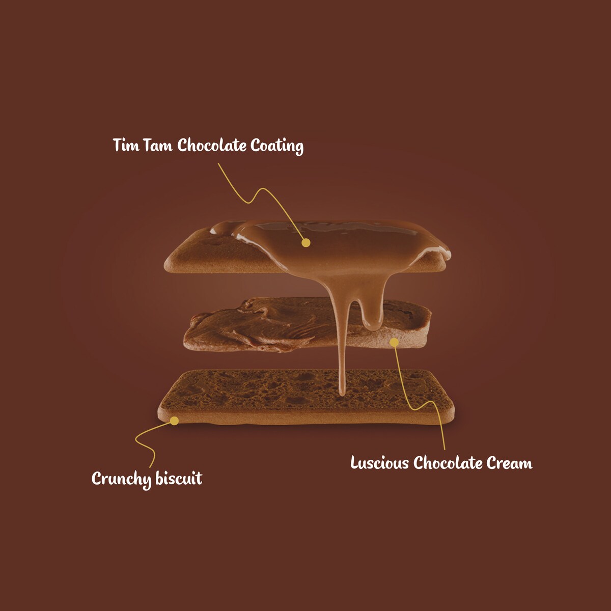 Arnotts Tim Tam Original Family Pack Chocolate Biscuits 365g