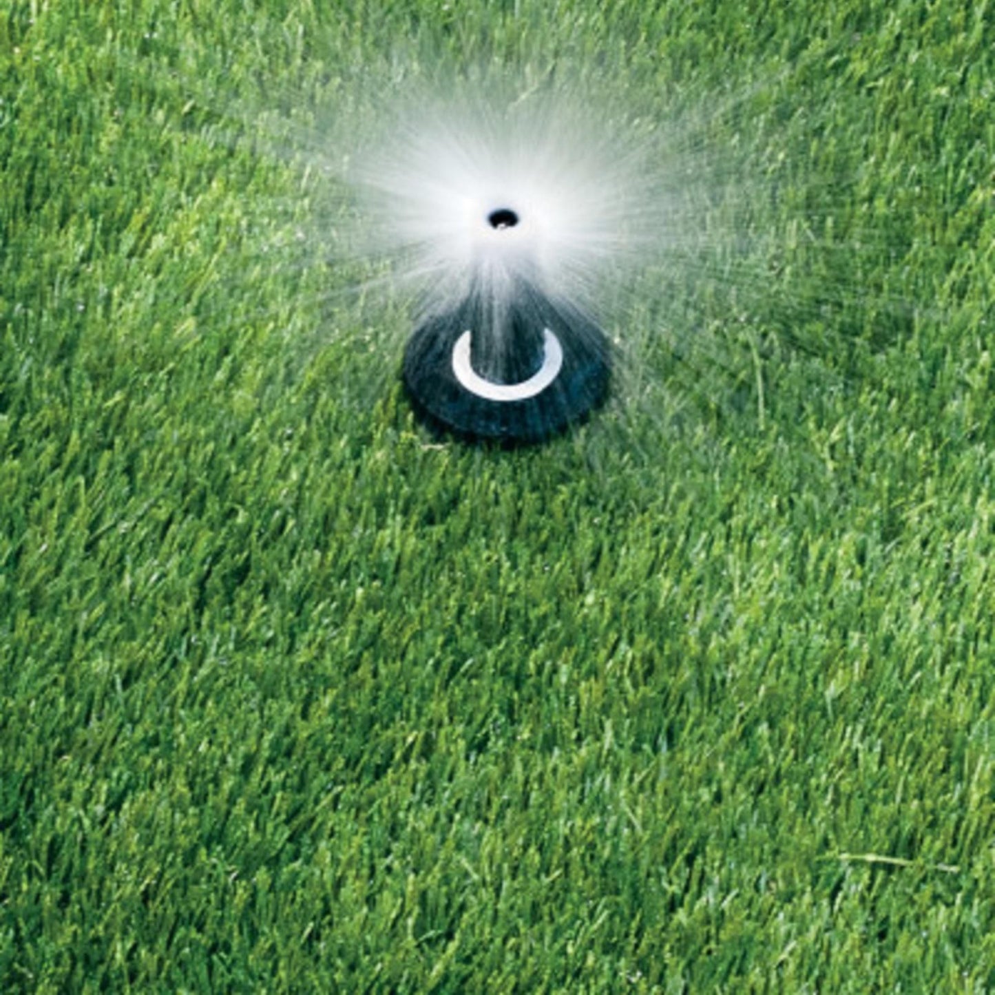 Rain Bird Dual Spray Quarter Pattern Pop-Up Spray Head - 50mm