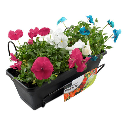 Jack Classique Window Box 370mm PVC Coated Steel Durable Design