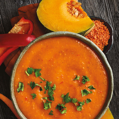 Heinz Soup Of The Day Veg & Lentil Chilli Paprika Soup Pouch 430g