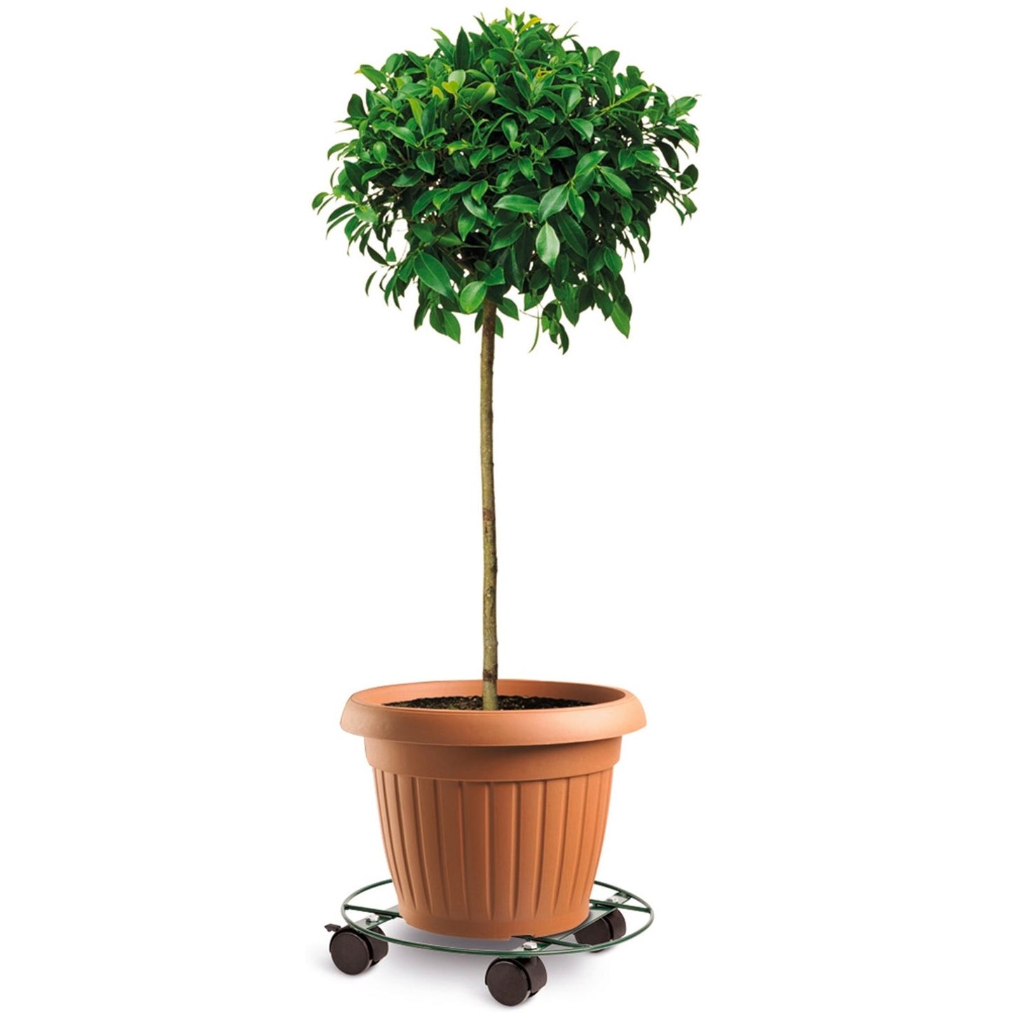 Eden Pot Plant Trolley - 35cm