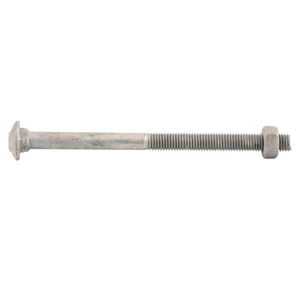 Zenith Hot Dip Galvanised Cup Head Bolts & Nuts - M10 x 150mm - 25 Pack