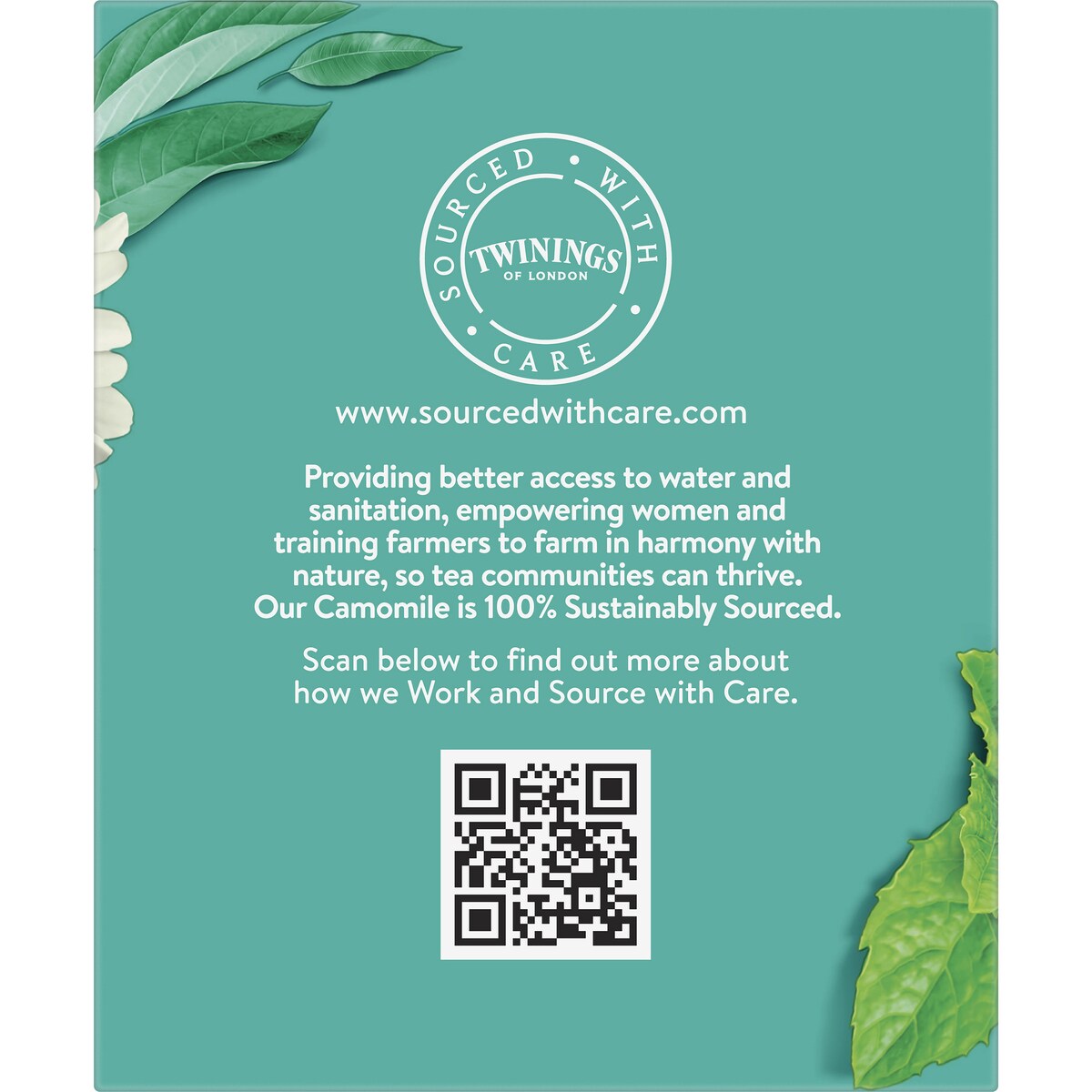 Twinings Camomile & Spearmint Tea Bags 10 pack
