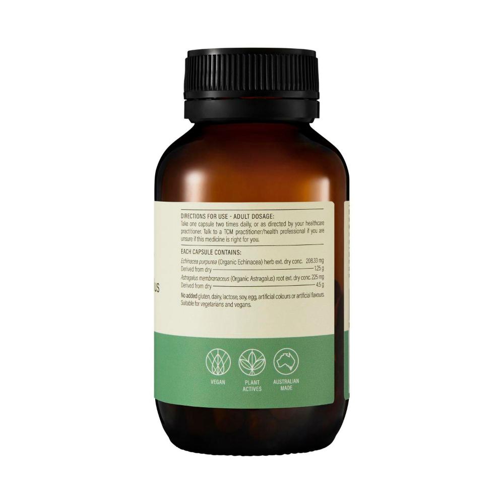 Wanderlust Echinacea + Astragalus Caps - 60 pack