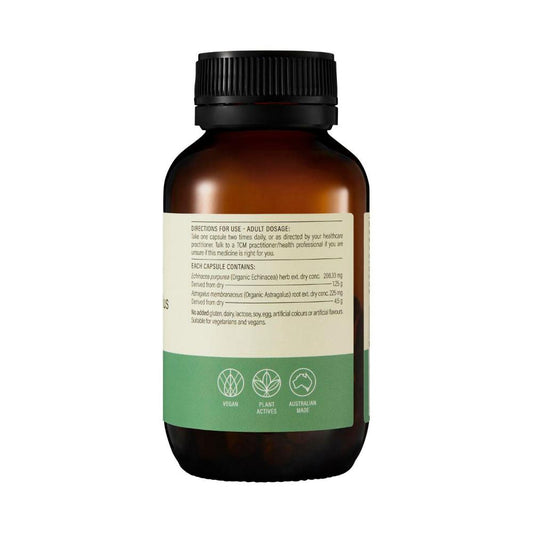 Wanderlust Echinacea + Astragalus Caps - 60 pack
