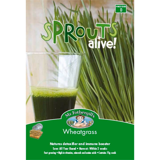 Mr Fothergill Wheatgrass Seeds