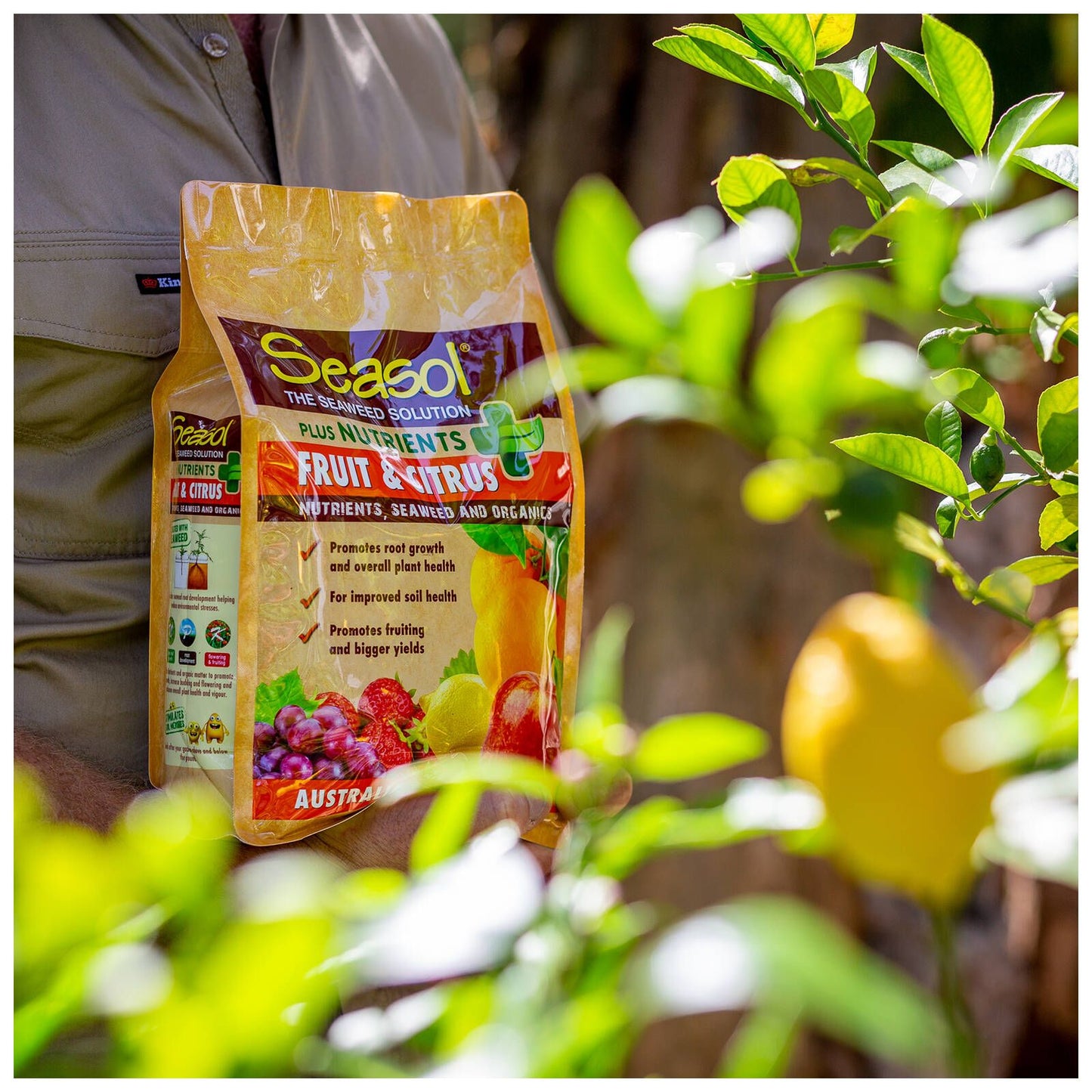 Seasol Plus Nutrients Fruit and Citrus - 2.5kg