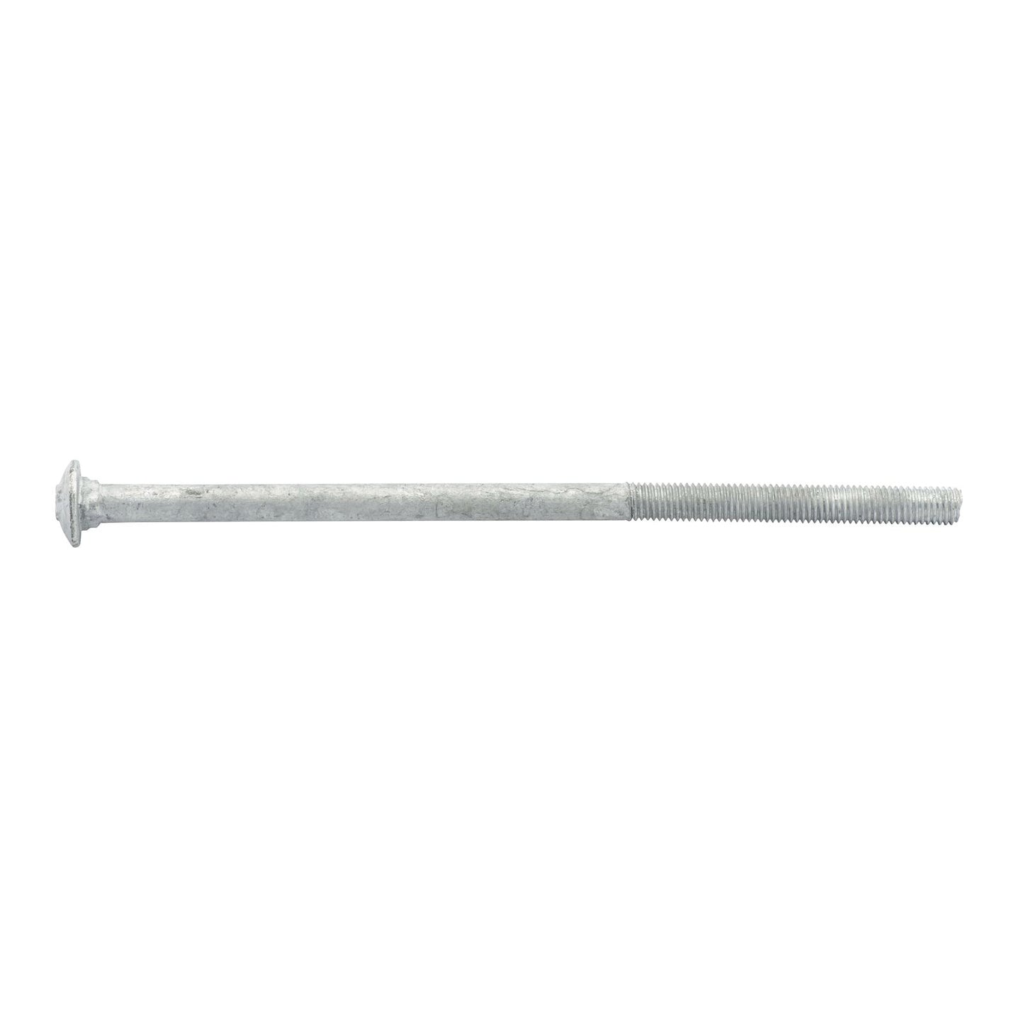 Zenith Hot Dip Galvanised Cup Head Bolts & Nuts - M10 x 200mm - 12 Pack