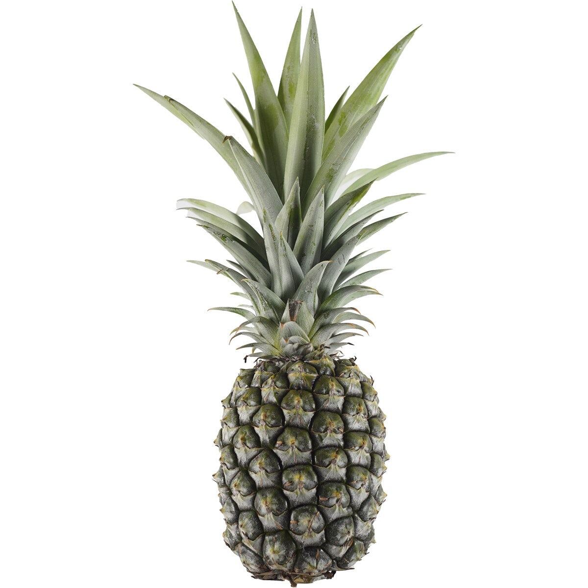 Gold Crown Pineapple Each