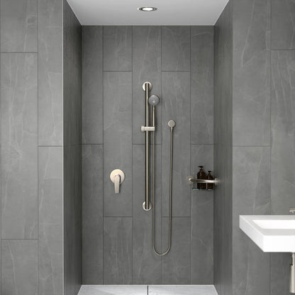 Evekare Grab Rail & 3 Function Shower - 32 x 900mm - Brushed Nickel