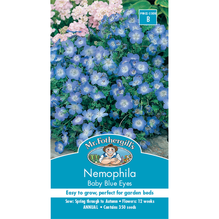 Mr Fothergill Nemophila Baby Blue Eyes Seeds