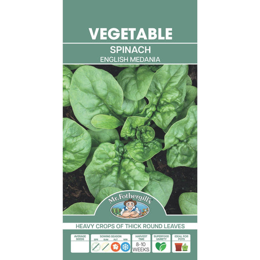 Mr Fothergill Spinach Seeds
