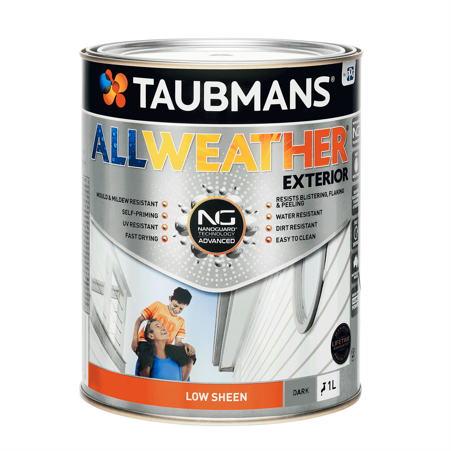 Taubmans All Weather Exterior Paint - 1L - Dark - Low Sheen
