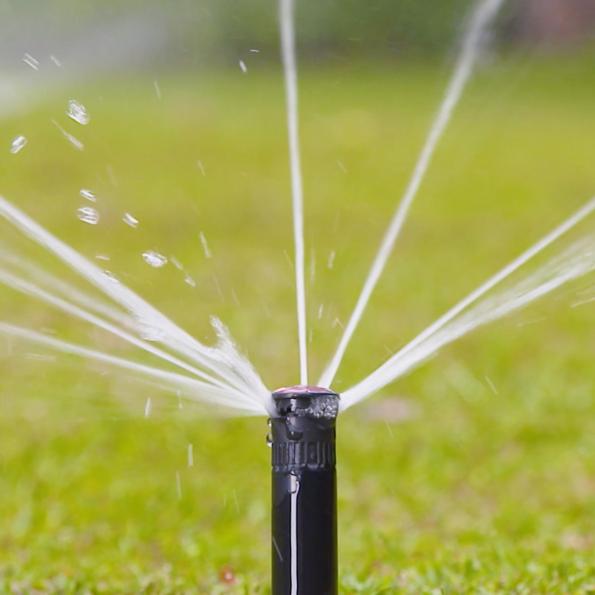 Holman Pop-up Sprinkler - 50mm - Plastic - Long Throw Rotating Stream