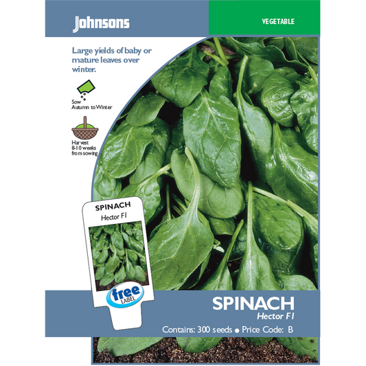 Johnsons Spinach Seeds - 10 Weeks