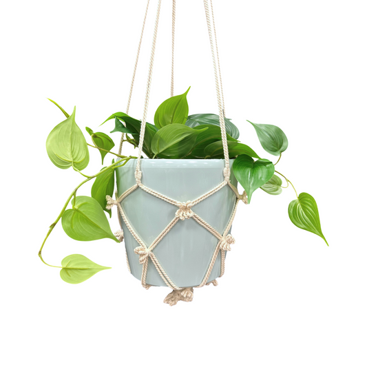 Eden Cotton Macrame Hanger 110cm