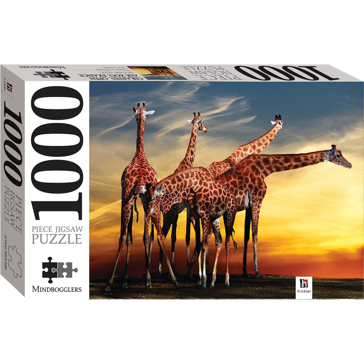 Hinkler 1000 Piece Jigsaw Puzzle Assorted Each