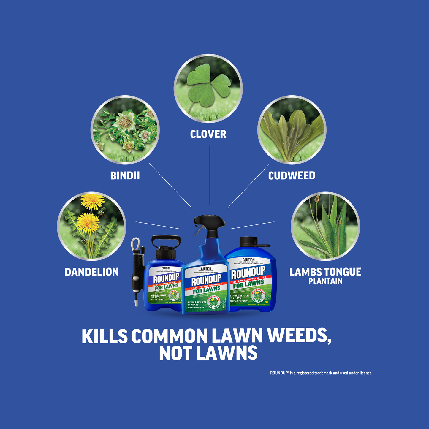 Roundup for Lawns - 1L