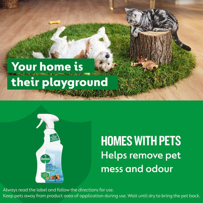 Dettol Homes With Pets Multipurpose Cleaner 750mL
