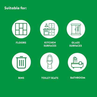 Dettol Homes With Pets Multipurpose Cleaner 750mL