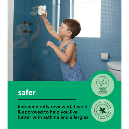 Koh Surface Cleaning Starter Kit each