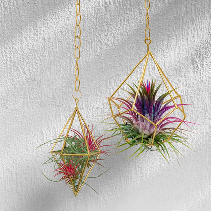 Jack Diamond Hanging Planter - 65 x 120mm - Gold