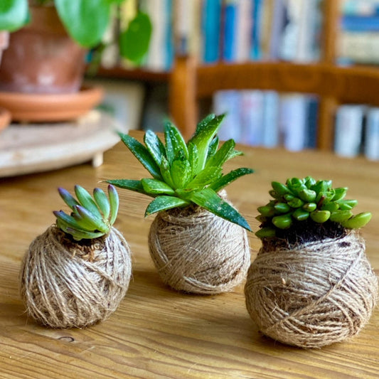 Jack Jute Twine - Natural & Biodegradable - 100m