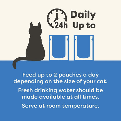 Applaws Fish Selection In Broth Cat Food 70g X 12 Pack