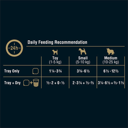 My Dog Fillets In Gravy With Tender Chicken Wet Dog Food Trays 6 Pack x 100g