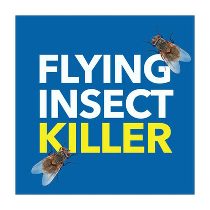 Raid Pest Odourless Flying Insect Spray Killer - 350g