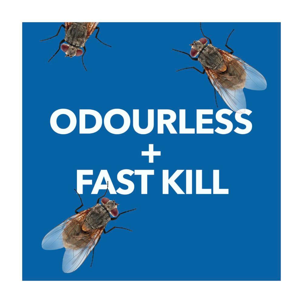 Raid Pest Odourless Flying Insect Spray Killer - 350g