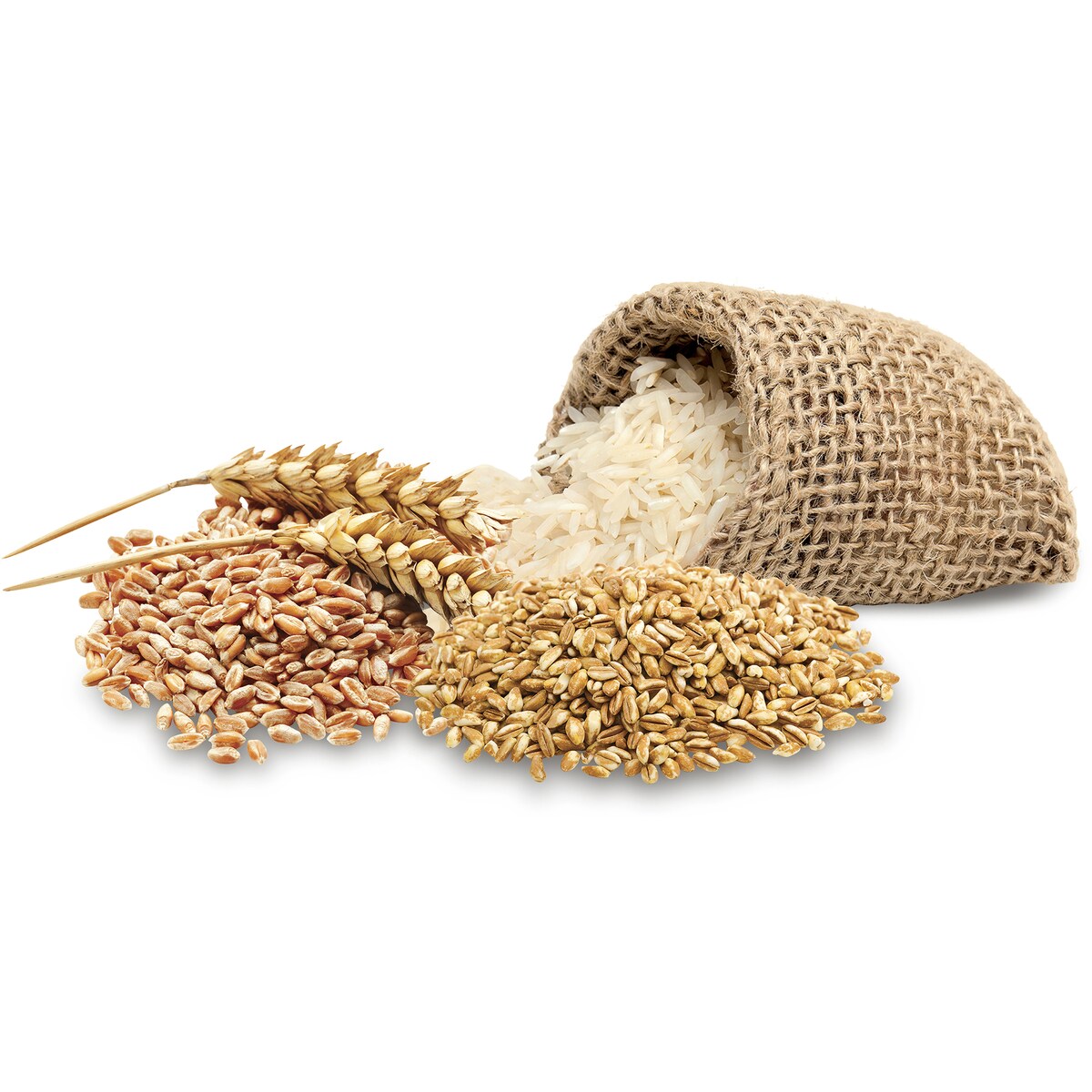 TrillPet Lorikeet Mix 500g