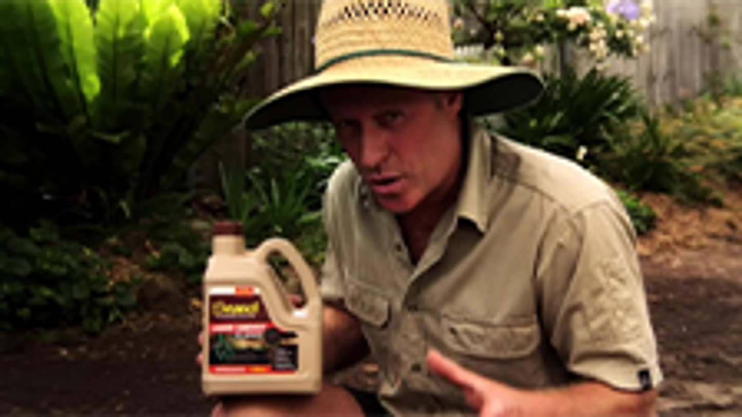 Seasol Liquid Compost - 1.2L