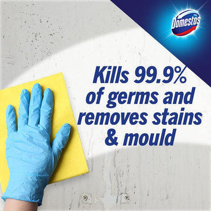 Domestos Disinfectant Bleach Mountain Fresh 1.25L