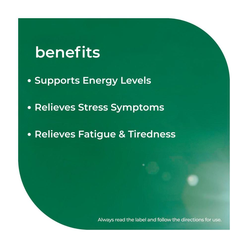 Nature's Way Mega B Executive Stress - 200 Pack