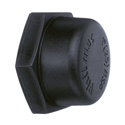 Philmac Thread Pipe Cap - 3/4"