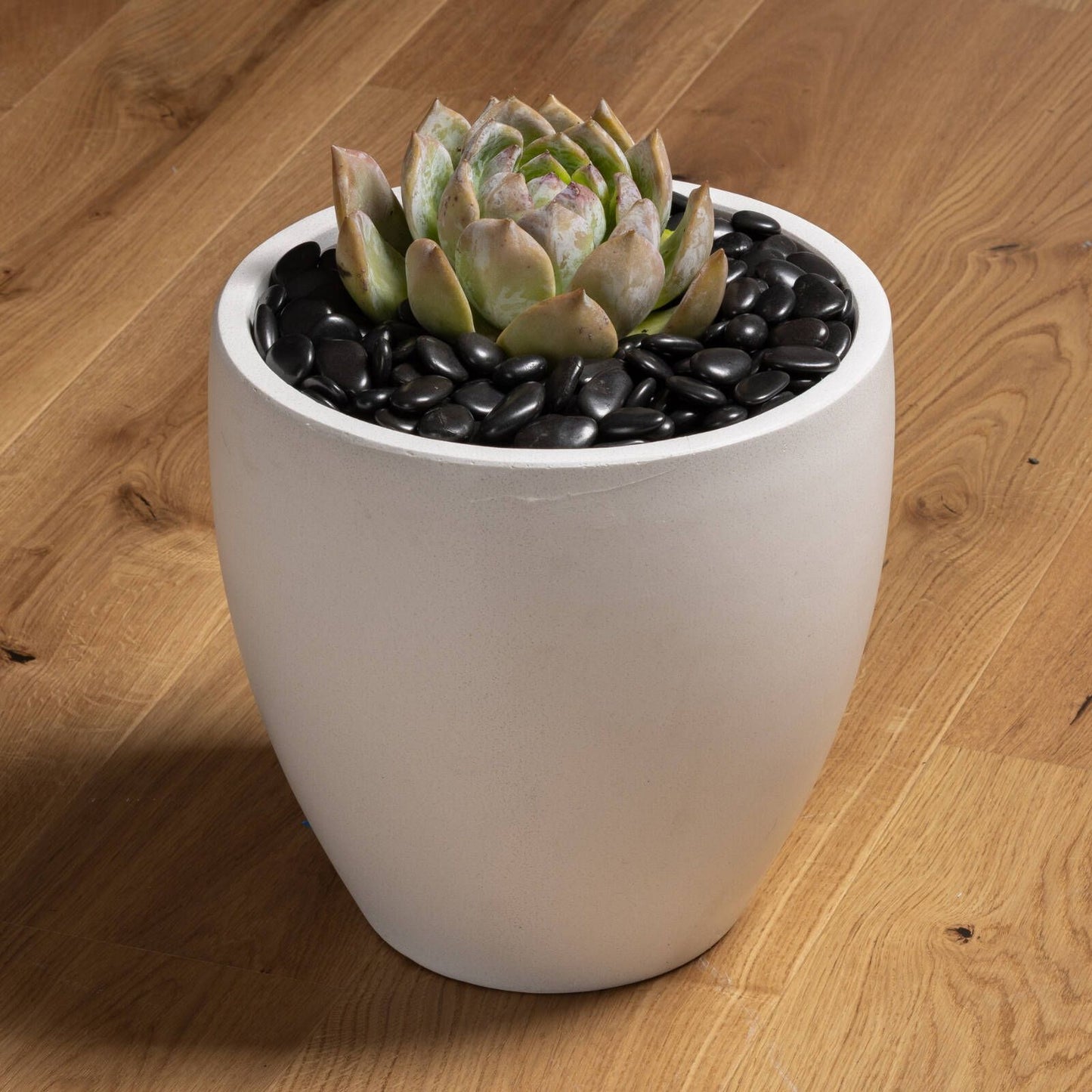 Tuscan Path Decorative Black Pebble - 15-20mm - 2kg