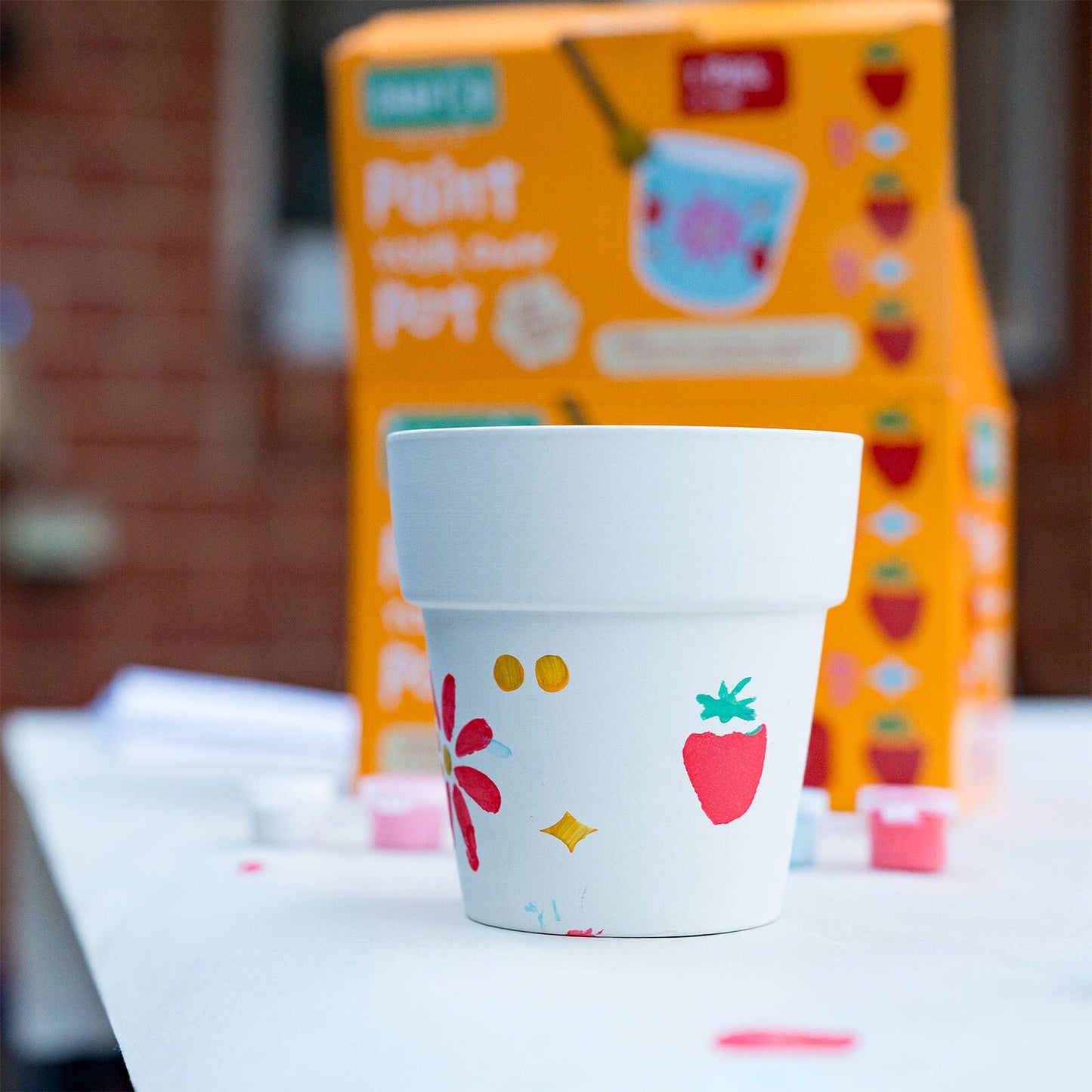 Crafted Paint Your Own Pot Kit
