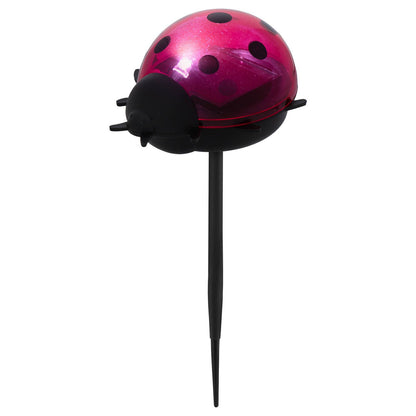 Click Solar Path Light Ladybug - 60 x 140mm - Red