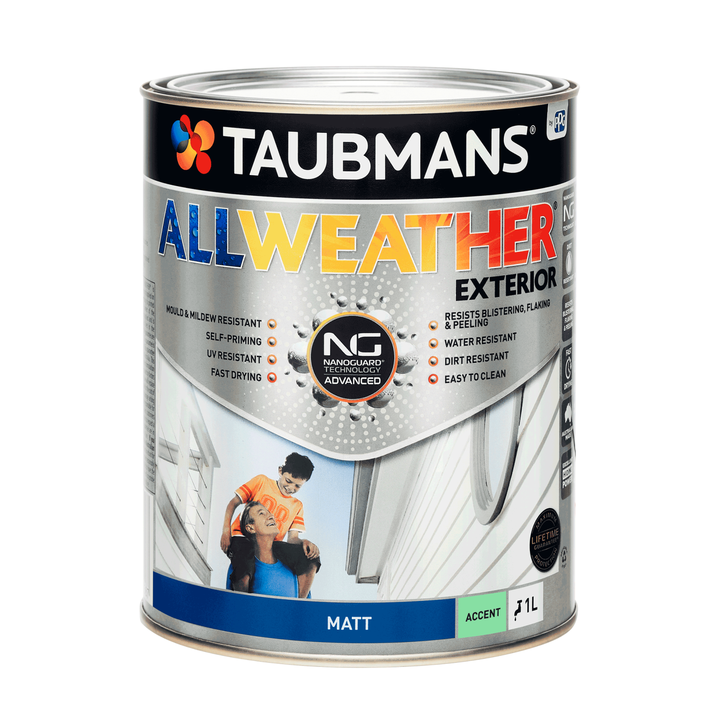 Taubmans All Weather Exterior Paint - 1L - Accent - Matt
