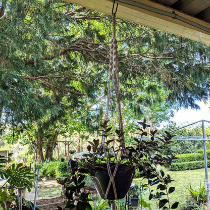 Jack All Purpose Hook 300mm Black Steel Round Hanging Basket Hook